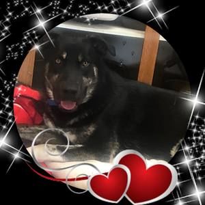 Meet your Posher, Cassandra